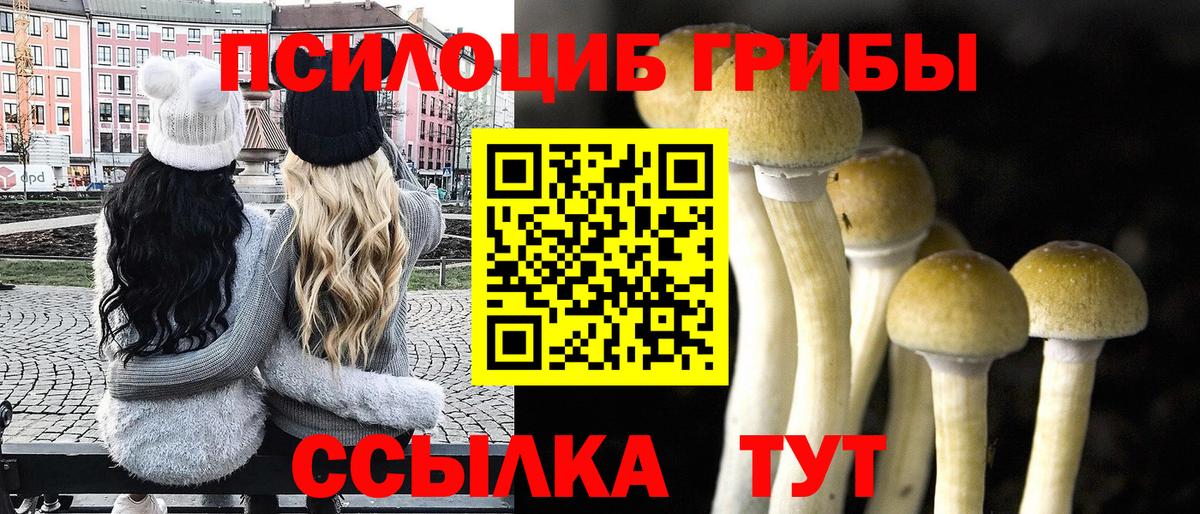 Тимашёвск  цены   Галлюциногенные грибы мицелий  Вход с VPN  Галлюциногенные грибы Psilocybe 